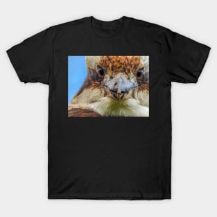 Australian Laughing Kookaburra close up T-Shirt